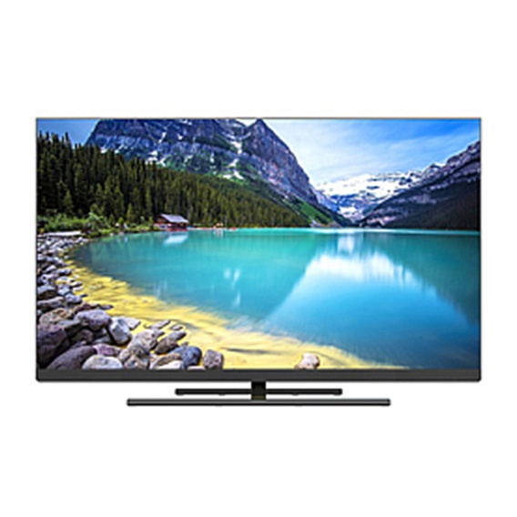 Телевизор Hofmann TV55BEWOSMQ-HF